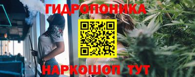 мдпв Гусь-Хрустальный