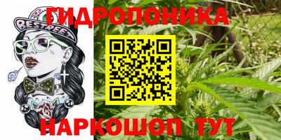 мдпв Гусь-Хрустальный