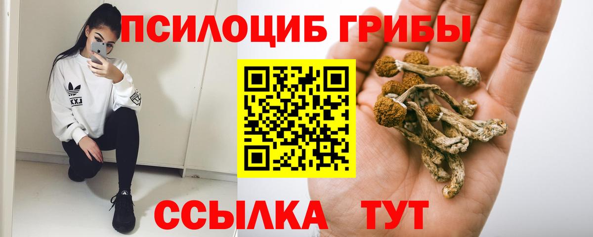 Галлюциногенные грибы Magic Shrooms Карабулак